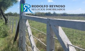 7 ha. en Gualeguaychú - sobre Ruta 20